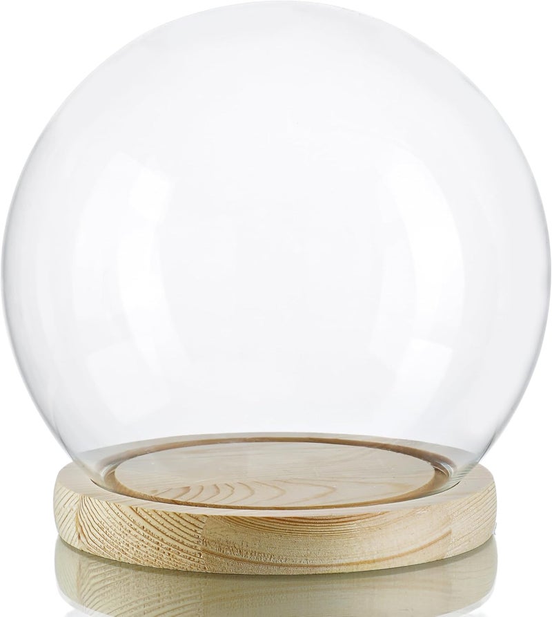 ZEERSHEE Round Glass Cloche Display Dome 6inch Decorative Glass Display Bell Jar for Plants Keepsakes Collectibles - Image 1
